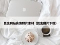 琼海昆虫网站高清照片素材（昆虫图片下载）